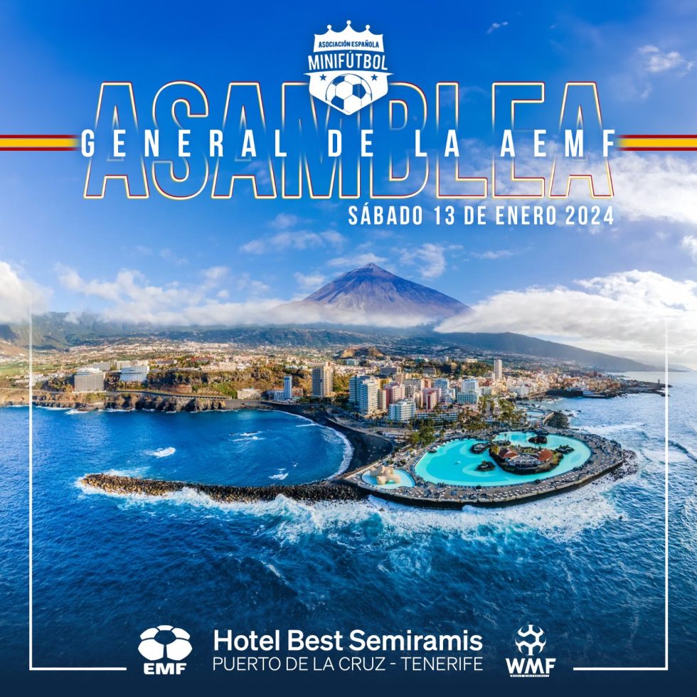 Inicio - Asociación Española de MiniFútbol - AEMF