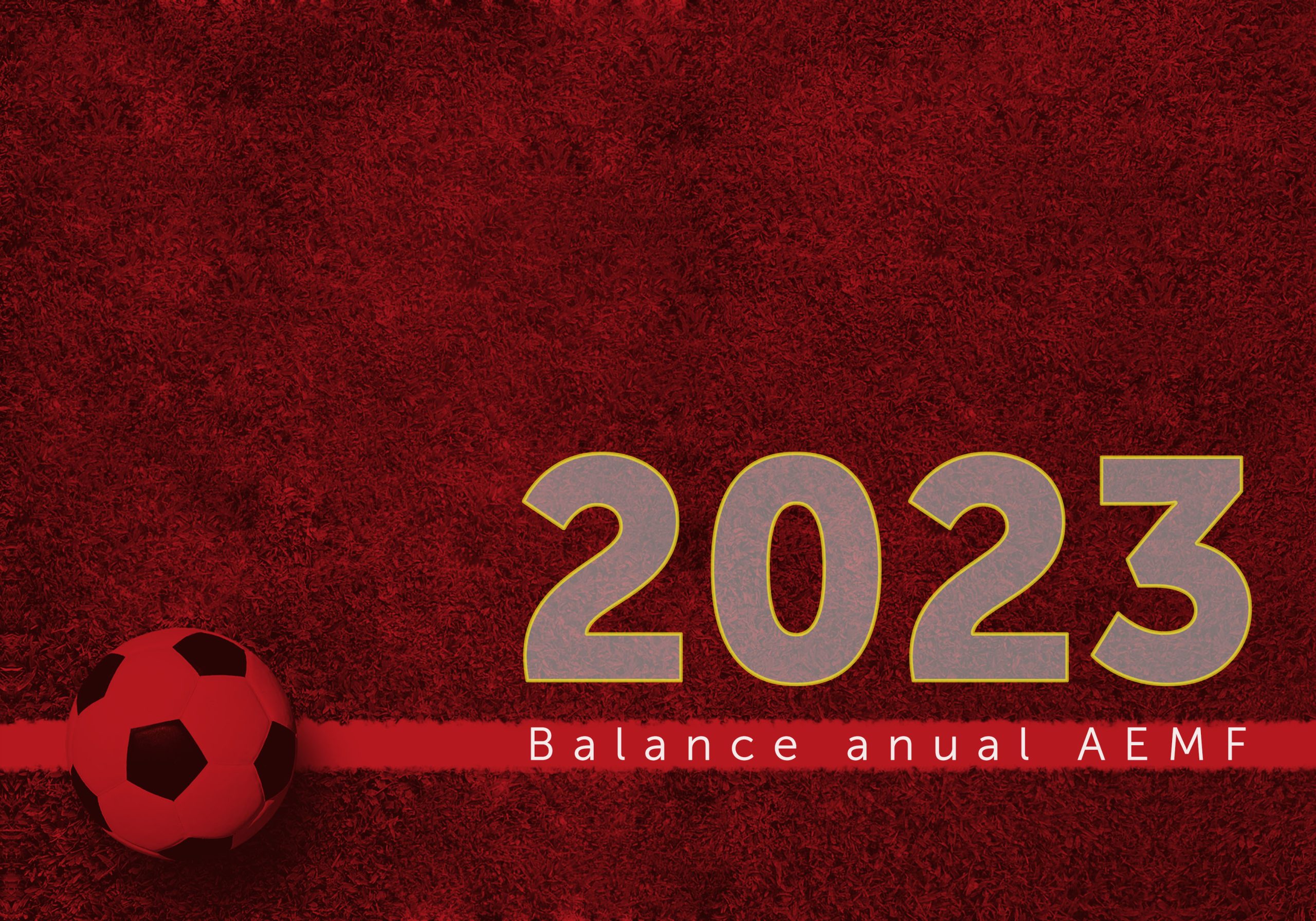 Balance anual AEMF - Asociación Española de MiniFútbol - AEMF
